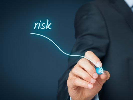 business risks are vital