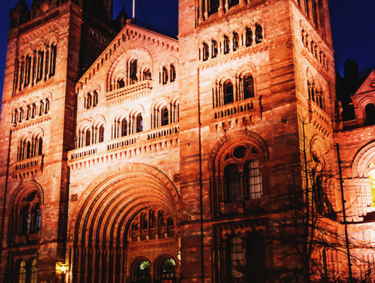 London's Natural History Museum