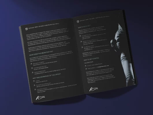 Mockup of Criticalis amd Risk Evolves Security Assessment Information PDF | free data security assessment